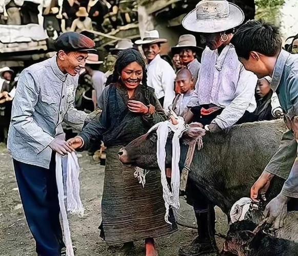 农民祖祖辈辈的梦想截图