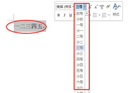 怎么放大字体缩略图