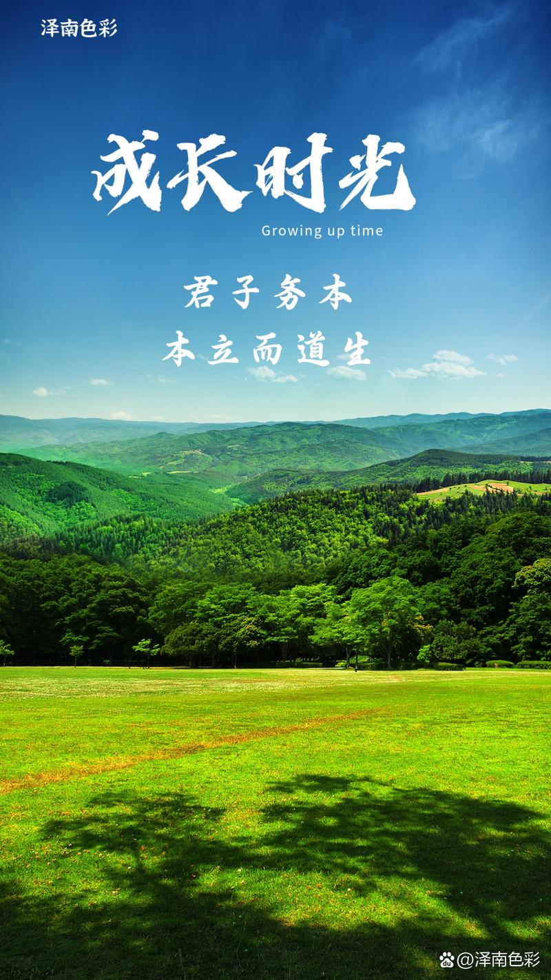 立务微源现在换成什么平台了