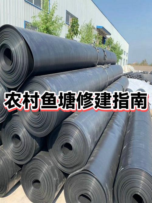 建鱼塘是什么意思