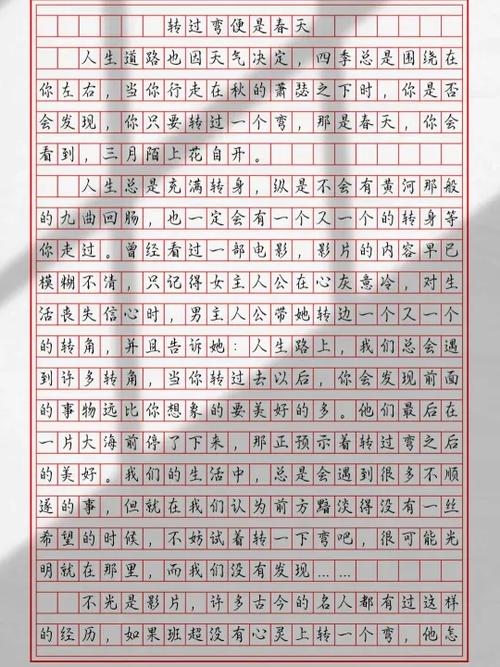 中考800字优秀作文缩略图