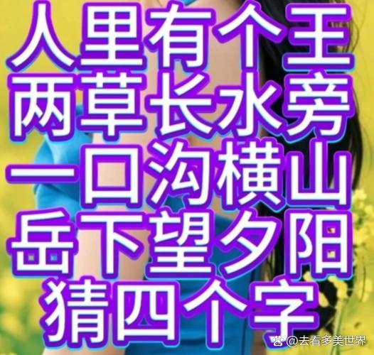 王字加一笔是什么字儿