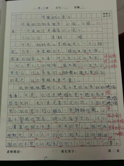 小白兔找钱包作文