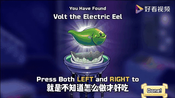 八爪鱼蛋缩略图