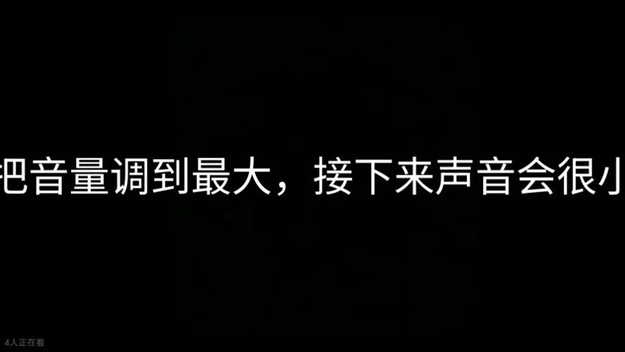 把音量调大我有话对你说