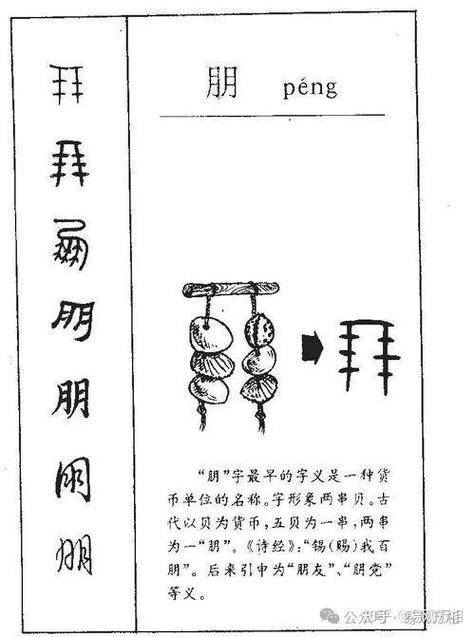 币的甲骨文图片