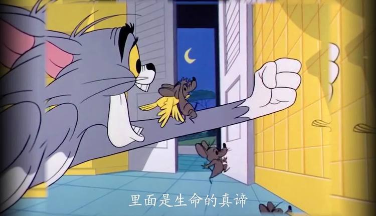 猪猪侠模仿猫和老鼠
