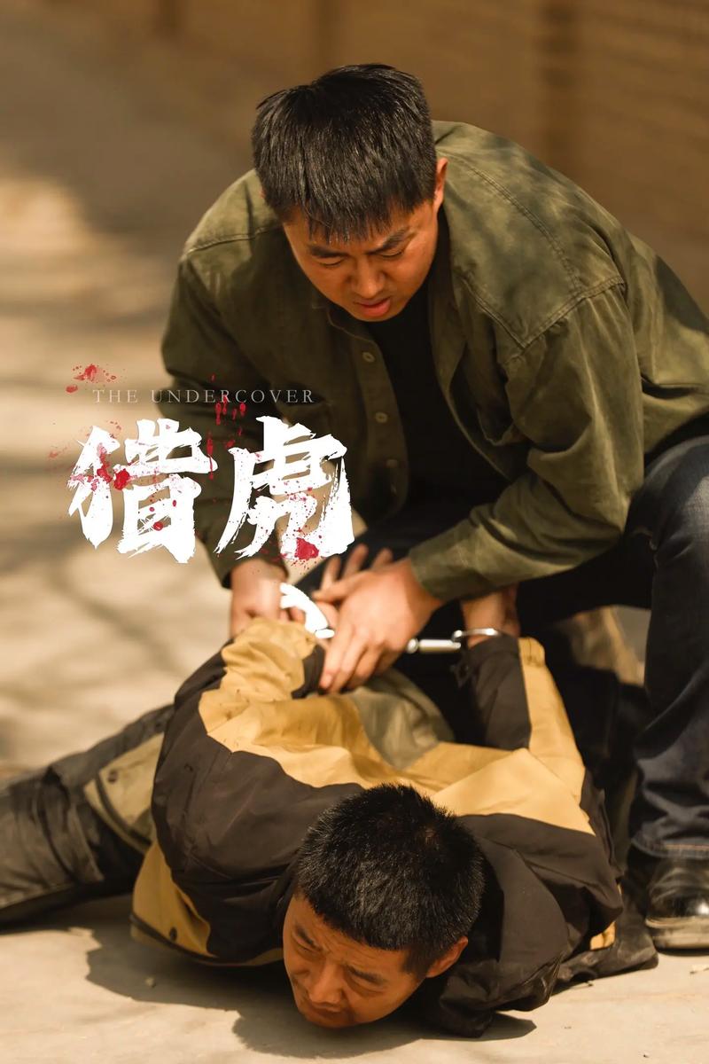 虎虎追剧