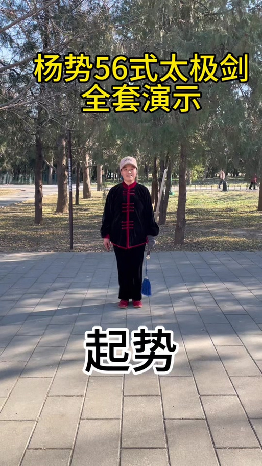 凤凰剑背向口令教学视频播放截图