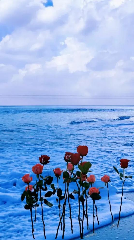 抖音流行的壁纸 锁屏