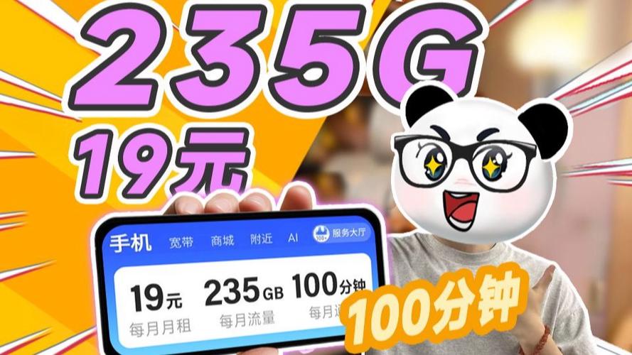 全国流量王19元河北版