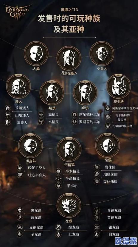 博德之门3散打僧图标