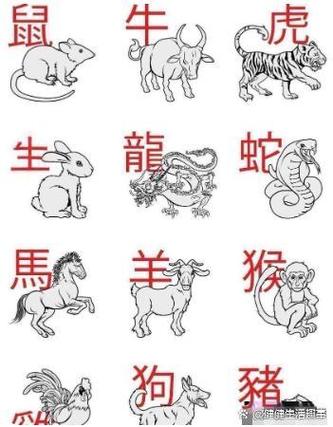 追是什么生肖