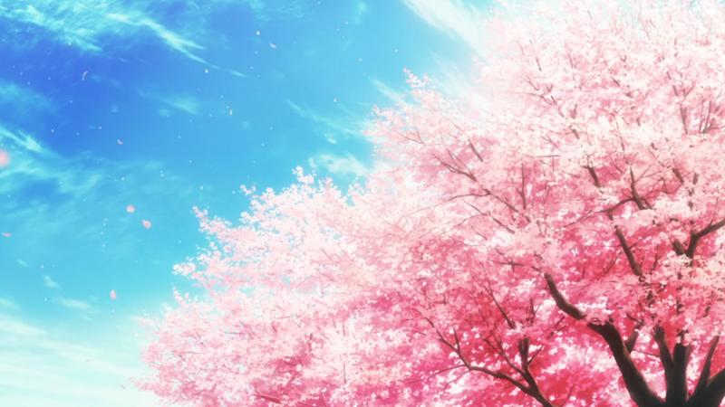 异世界兴爱旅行团樱花动漫