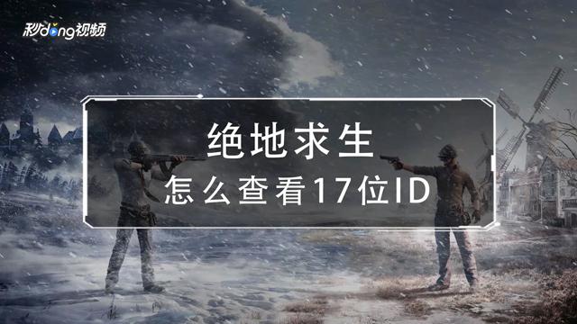 pubg怎么看17位id
