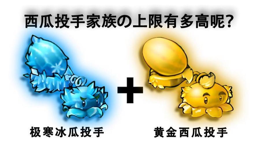 黄金西瓜投手