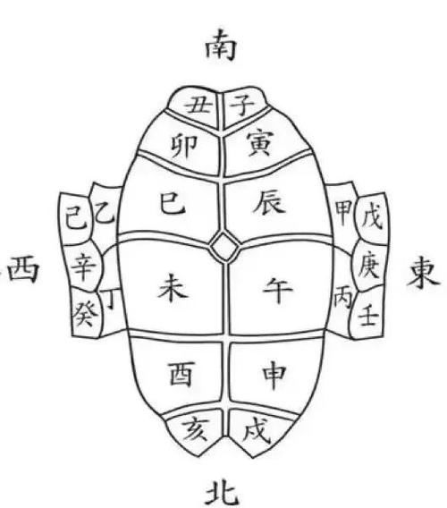 乌龟通灵了最明显的特征