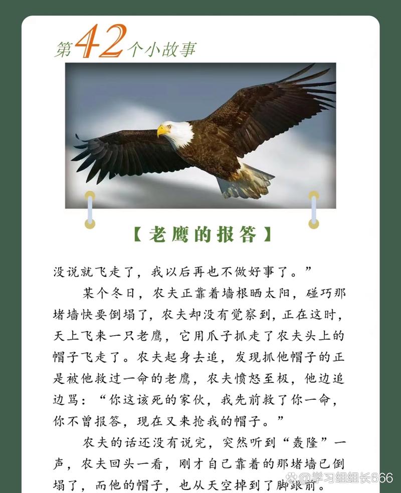 鹰之时代全文免费阅读