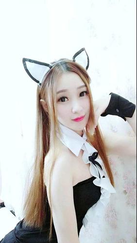 奇秀小猫咪
