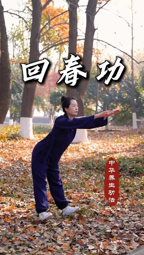 道家睡功回春功截图