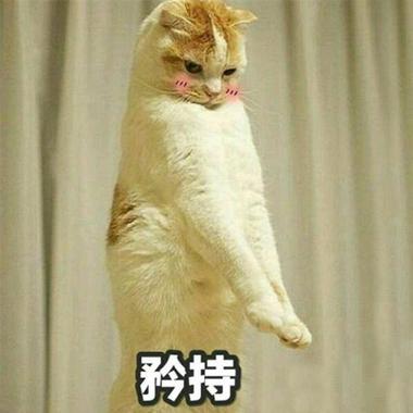 如果一个男生说你装矜持