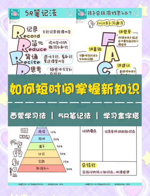 lingohut自学网站游戏截图