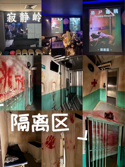僵尸撤退娜塔莎布置房间截图