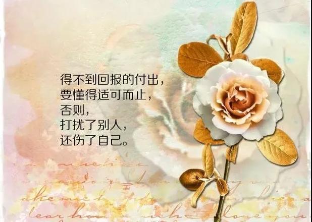 写给自己的人生感悟