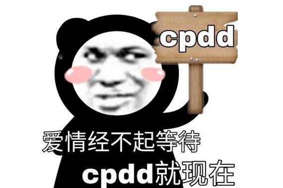 男生说cpdd暗示啥