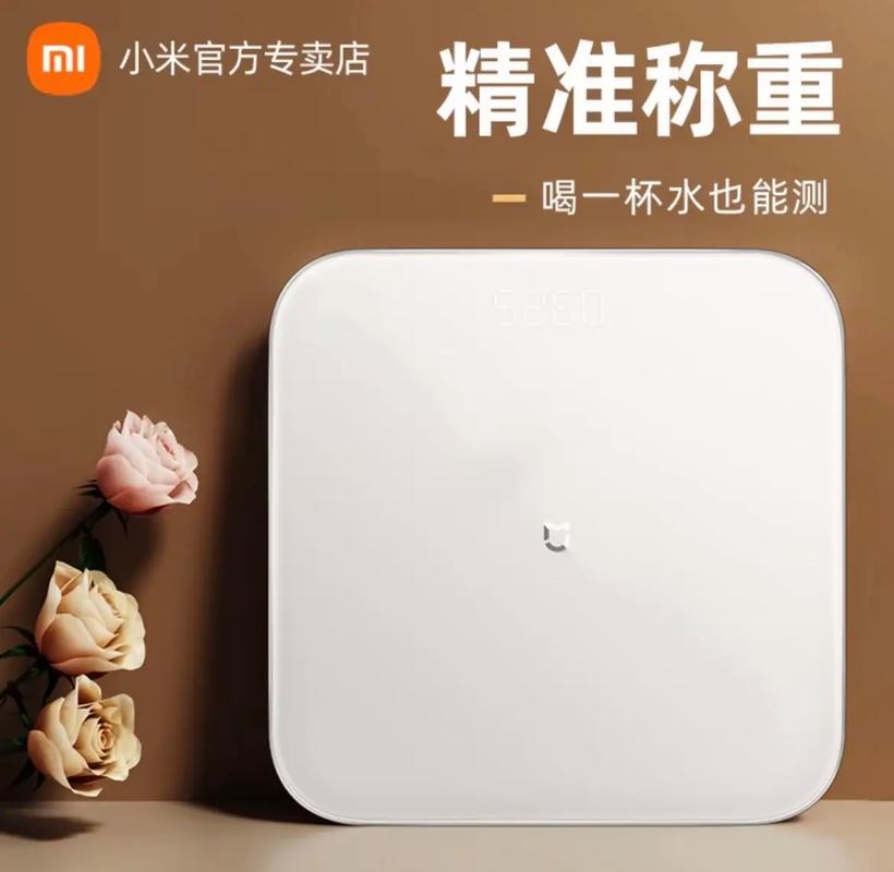 小米电子秤为什么显示L图标