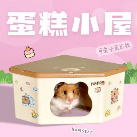 仓鼠星球为什么打开不了截图