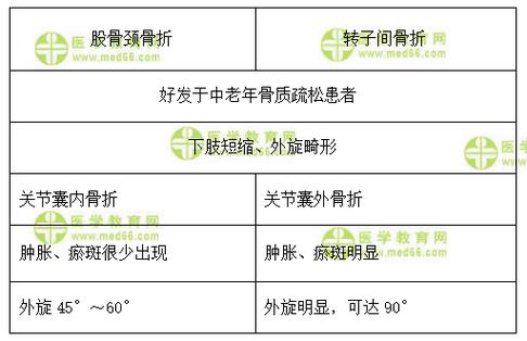骨折与骨断的区别图标