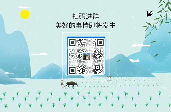 微信付费扫码进群项目