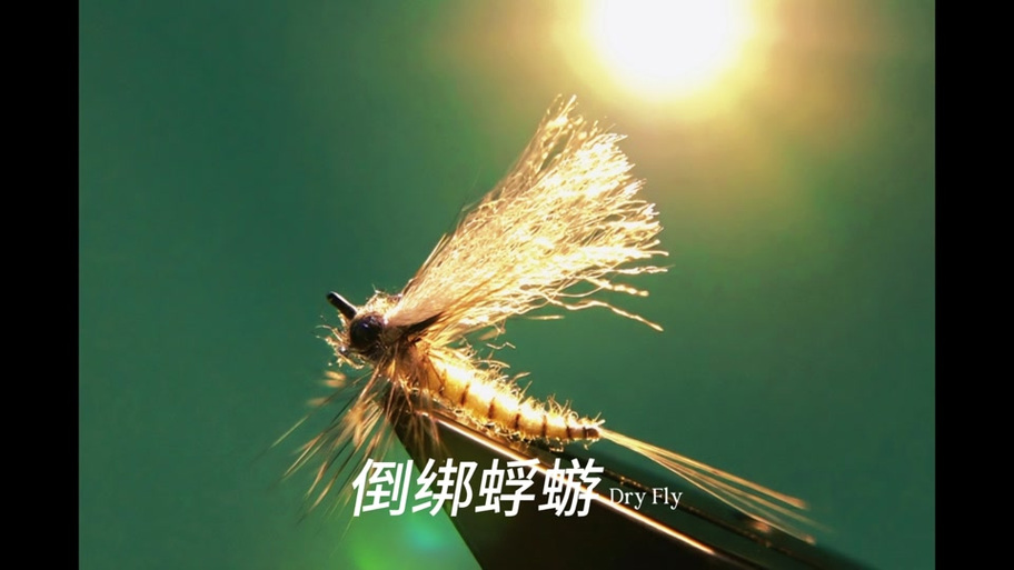 蜉蝣0.2缩略图