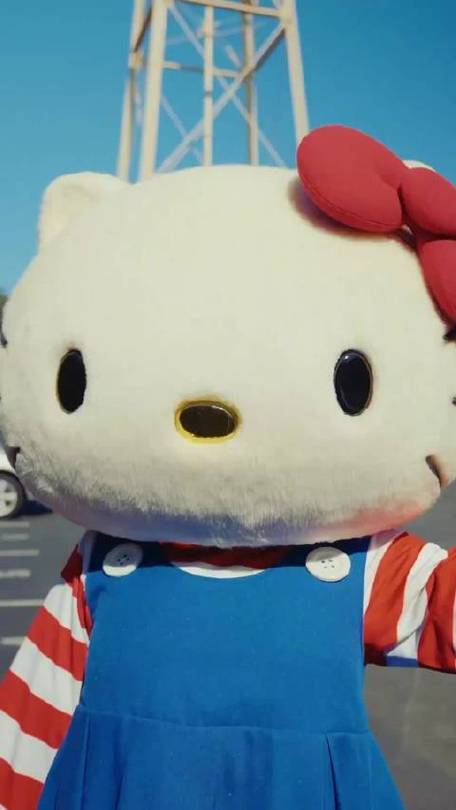 美国kitty