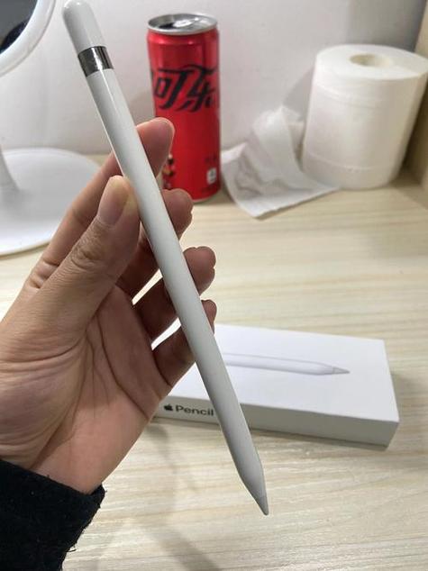 苹果笔时间长了充不上电了