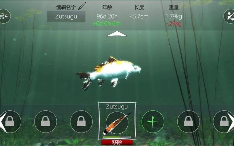 类似大鱼塘的软件图标