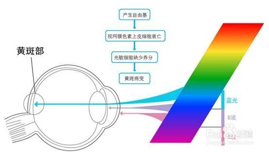 防辐射和防蓝光有什么区别