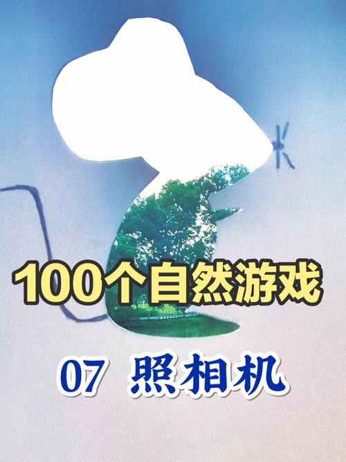 照相机游戏