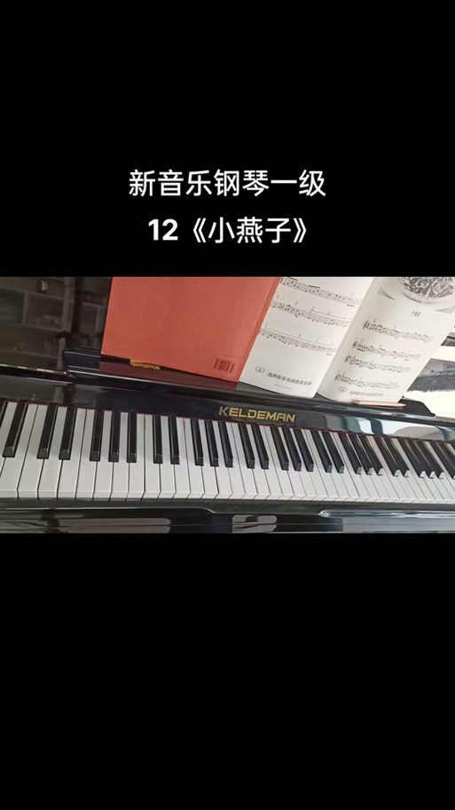 小燕子钢琴弹奏教程