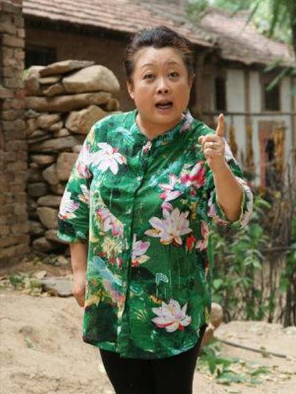 乡村胖婶小说免费阅读全文最新章节截图
