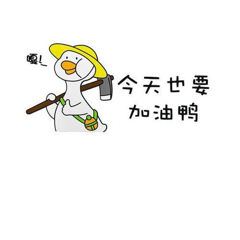 加油鸭加油鸭