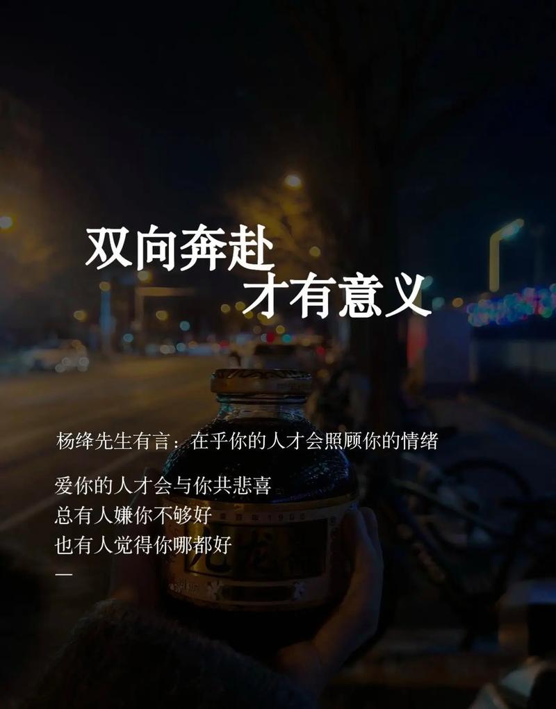 vivo双向拍照