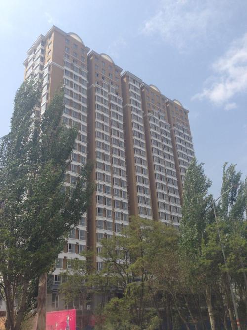 丁香园实时