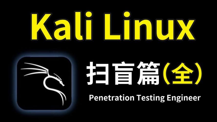 kali入门到精通教程百度网盘