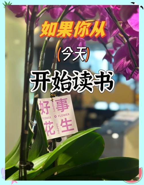 21天不抱怨 readings