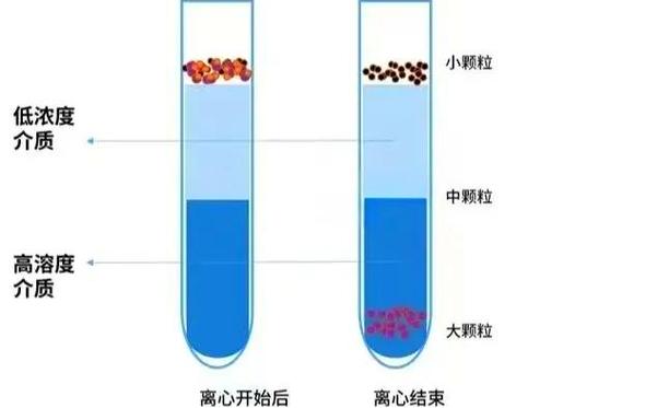 离心分离的步骤