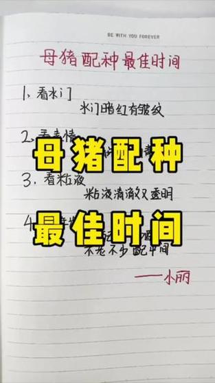 养母猪的技术方法