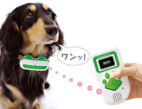 狗声翻译器