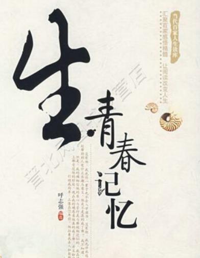 与青春有关的日子谭丽游戏截图